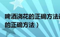 啤酒浇花的正确方法适合浇什么花（啤酒浇花的正确方法）