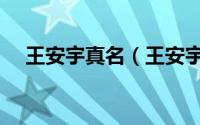 王安宇真名（王安宇是杨天真公司的吗）