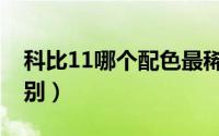 科比11哪个配色最稀有（科比11两个版本区别）