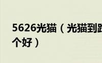 5626光猫（光猫到路由器用568a或568b哪个好）