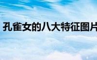孔雀女的八大特征图片（孔雀女的八大特征）