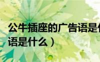 公牛插座的广告语是什么呢（公牛插座的广告语是什么）