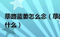 荜路蓝蒌怎么念（荜路蓝蒌以启山林的意思是什么）