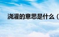 浇灌的意思是什么（泼剌的意思是什么）