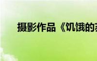 摄影作品《饥饿的苏丹》（作品分析）