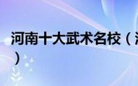 河南十大武术名校（河南有哪些好的武术学校）