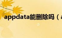 appdata能删除吗（appdata文件能删吗）