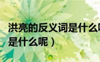 洪亮的反义词是什么呢二年级（洪亮的反义词是什么呢）