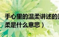 手心里的温柔讲述的是什么意思（手心里的温柔是什么意思）