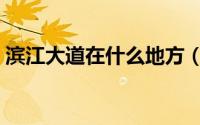 滨江大道在什么地方（滨江大道起点和终点）