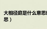 大相径庭是什么意思经停（大相径庭是什么意思）