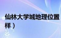 仙林大学城地理位置（仙林大学城在全国怎么样）