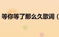 等你等了那么久歌词（等你等到我心痛歌词）