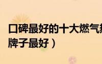 口碑最好的十大燃气热水器（燃气热水器什么牌子最好）