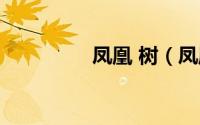 凤凰 树（凤凰树的介绍）