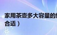 家用茶壶多大容量的好（家用买多大的泡茶壶合适）