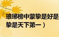琅琊榜中蒙挚是好是坏（琅琊榜2为什么说蒙挚是天下第一）