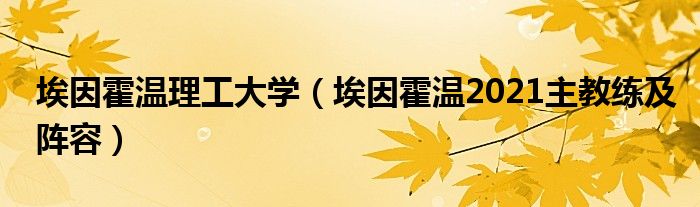 埃因霍温理工大学（埃因霍温2021主教练及阵容）