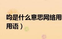 呁是什么意思网络用语（jun是什么意思网络用语）