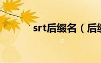 srt后缀名（后缀为.srt的文件）