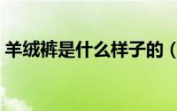 羊绒裤是什么样子的（羊绒裤的优点和缺点）