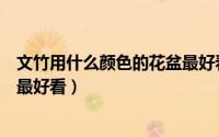 文竹用什么颜色的花盆最好看视频（文竹用什么颜色的花盆最好看）