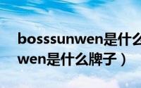 bosssunwen是什么牌子男士包（bosssunwen是什么牌子）