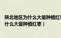 陕北地区为什么大量种植红枣地理题出自哪里（陕北地区为什么大量种植红枣）