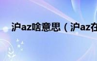 沪az啥意思（沪az在车牌里是什么意思）