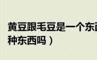 黄豆跟毛豆是一个东西吗（黄豆和毛豆是同一种东西吗）