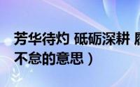 芳华待灼 砥砺深耕 履践致远（矢志不渝笃行不怠的意思）