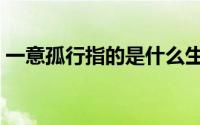 一意孤行指的是什么生肖（一意孤行猜数字）