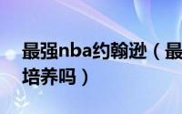 最强nba约翰逊（最强NBA约什史密斯值得培养吗）