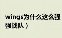 wings为什么这么强（wings为什么被称为最强战队）