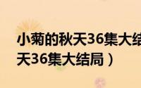 小菊的秋天36集大结局在线观看（小菊的秋天36集大结局）
