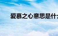 爱慕之心意思是什么（爱慕之心意思）