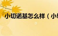 小切诺基怎么样（小切诺基有哪几种车型）