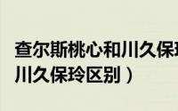 查尔斯桃心和川久保玲的区别（查尔斯桃心和川久保玲区别）