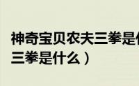 神奇宝贝农夫三拳是什么精灵（神奇宝贝农夫三拳是什么）