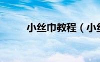 小丝巾教程（小丝巾的10种扎法）