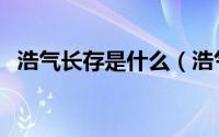 浩气长存是什么（浩气长存天地间的意思）