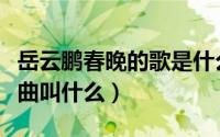 岳云鹏春晚的歌是什么歌（岳云鹏春晚唱的歌曲叫什么）