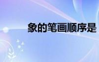 象的笔画顺序是（象的笔顺组词）