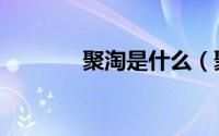 聚淘是什么（聚淘宝可靠吗）