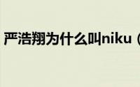 严浩翔为什么叫niku（严浩翔为什么叫niki）