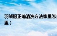 羽绒服正确清洗方法家里怎么清洗（羽绒服正确清洗方法家里）
