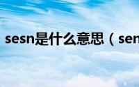 sesn是什么意思（sen是什么意思网络用语）