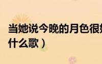 当她说今晚的月色很好（他说今晚的月色很好什么歌）