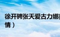 徐开骋张天爱古力娜扎（徐开骋辟谣张天爱恋情）