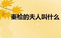 秦桧的夫人叫什么（秦桧的夫人是谁）
